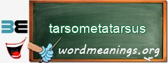 WordMeaning blackboard for tarsometatarsus
